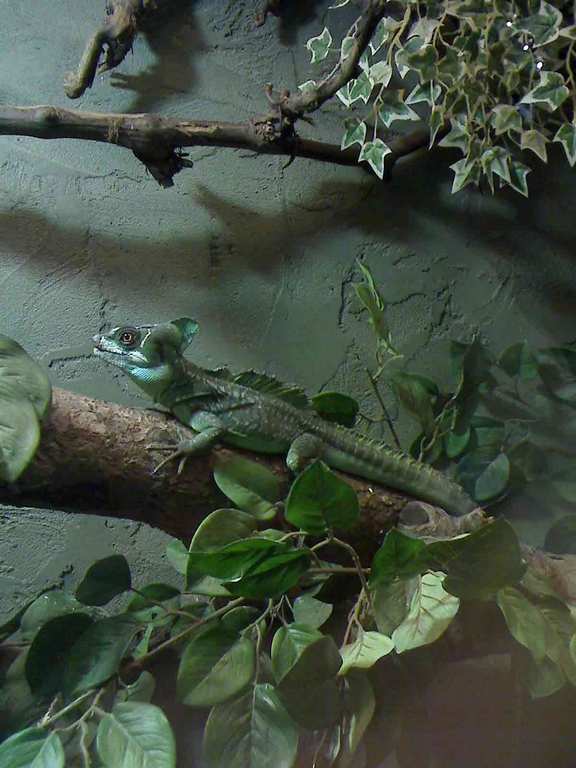 Basilisk
