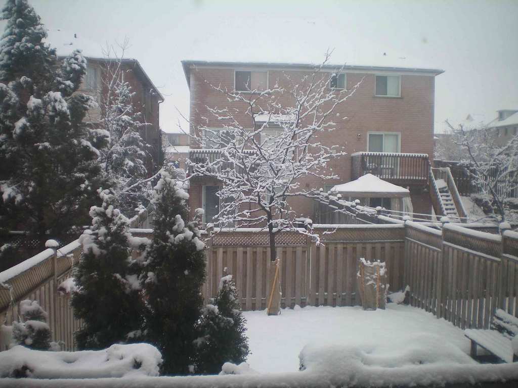 Winterwonderland